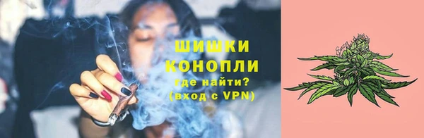 дживик Вяземский