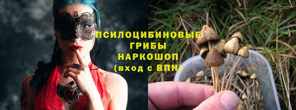 стафф Горно-Алтайск