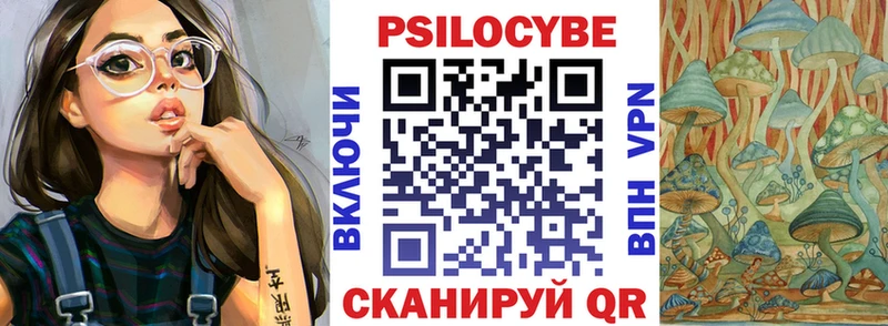 KRAKEN рабочий сайт  Демидов  Галлюциногенные грибы Psilocybine cubensis  наркошоп 