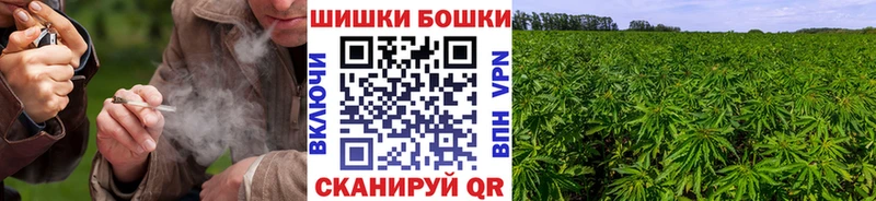 ОМГ ОМГ сайт  цены наркотик  Демидов  Бошки марихуана ГИДРОПОН 